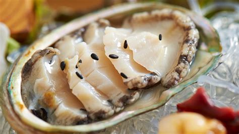 Abalone .